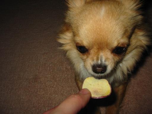 ���݂ʂ���������Ƃ��ʂ̂킳��