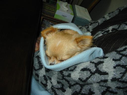 ���݂ʂ���������Ƃ��ʂ̂킳��