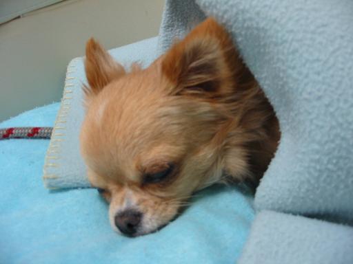 ���݂ʂ���������Ƃ��ʂ̂킳��