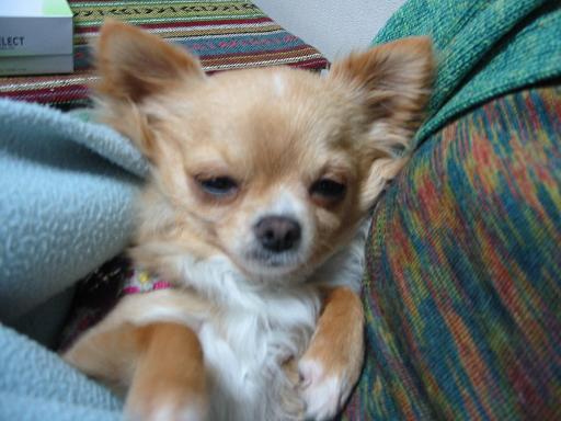 ���݂ʂ���������Ƃ��ʂ̂킳��