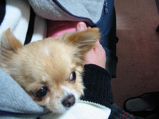 ���݂ʂ���������Ƃ��ʂ̂킳��