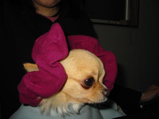 ���݂ʂ���������Ƃ��ʂ̂킳��