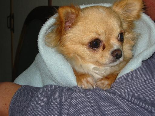 ���݂ʂ���������Ƃ��ʂ̂킳��