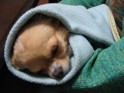 ���݂ʂ���������Ƃ��ʂ̂킳��