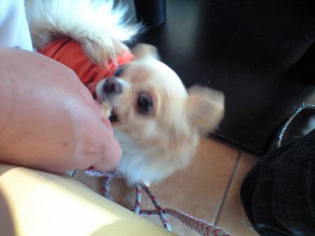 ���݂ʂ���������Ƃ��ʂ̂킳��