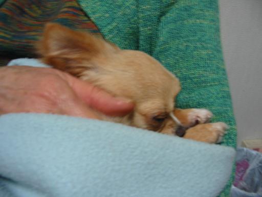 ���݂ʂ���������Ƃ��ʂ̂킳��