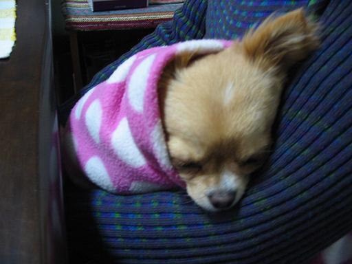 ���݂ʂ���������Ƃ��ʂ̂킳��