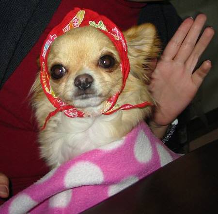 ���݂ʂ���������Ƃ��ʂ̂킳��