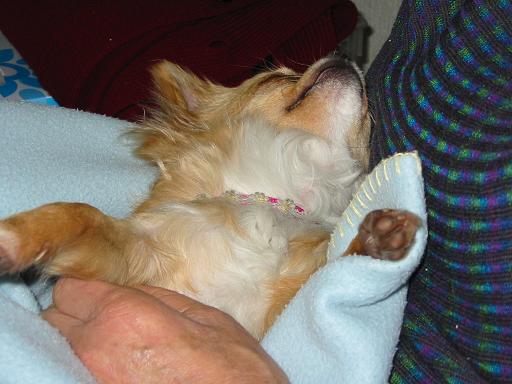 ���݂ʂ���������Ƃ��ʂ̂킳��