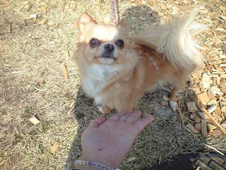 ���݂ʂ���������Ƃ��ʂ̂킳��