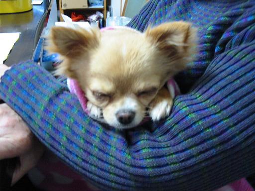 ���݂ʂ���������Ƃ��ʂ̂킳��