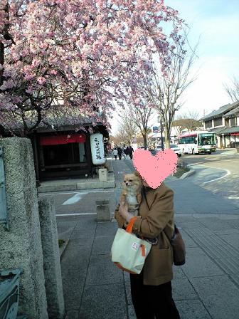 ���݂ʂ���������Ƃ��ʂ̂킳��