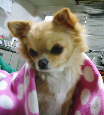 ���݂ʂ���������Ƃ��ʂ̂킳��