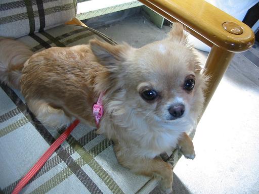 ���݂ʂ���������Ƃ��ʂ̂킳��