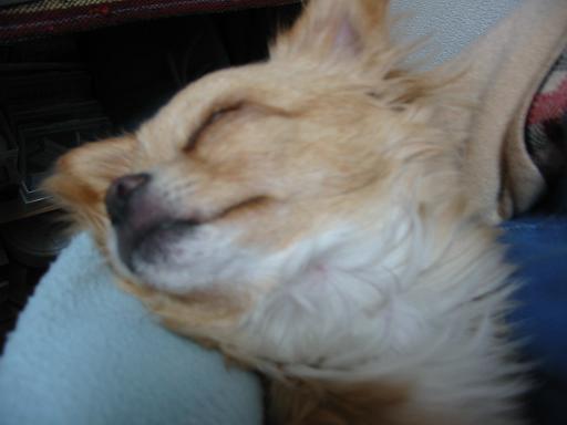 ���݂ʂ���������Ƃ��ʂ̂킳��