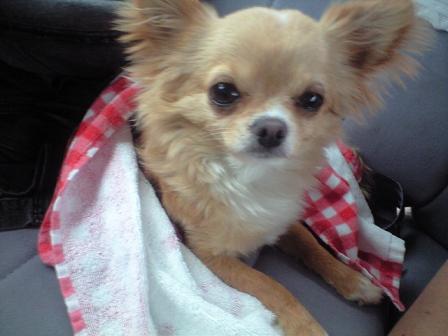 ���݂ʂ���������Ƃ��ʂ̂킳��