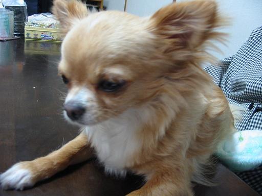 ���݂ʂ���������Ƃ��ʂ̂킳��