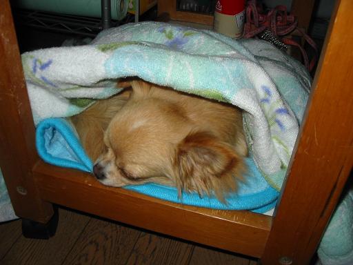 ���݂ʂ���������Ƃ��ʂ̂킳��