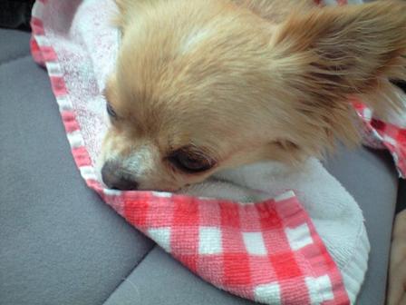 ���݂ʂ���������Ƃ��ʂ̂킳��