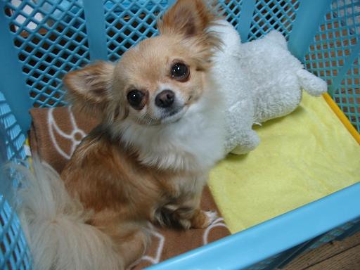 ���݂ʂ���������Ƃ��ʂ̂킳��