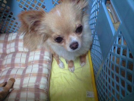 ���݂ʂ���������Ƃ��ʂ̂킳��