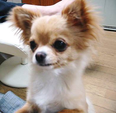 ���݂ʂ���������Ƃ��ʂ̂킳��