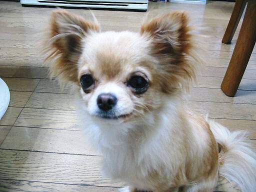 ���݂ʂ���������Ƃ��ʂ̂킳��