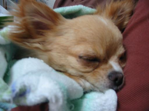 ���݂ʂ���������Ƃ��ʂ̂킳��