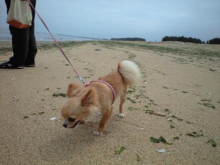 ���݂ʂ���������Ƃ��ʂ̂킳��