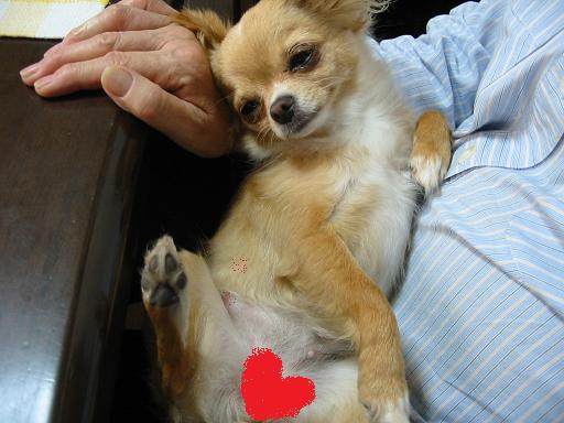 ���݂ʂ���������Ƃ��ʂ̂킳��