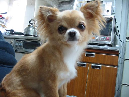 ���݂ʂ���������Ƃ��ʂ̂킳��