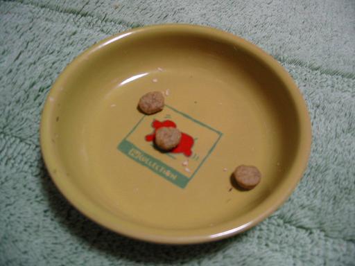 ���݂ʂ���������Ƃ��ʂ̂킳��