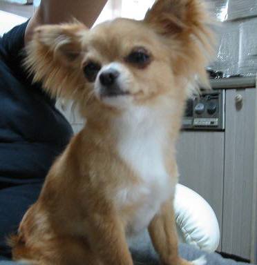 ���݂ʂ���������Ƃ��ʂ̂킳��