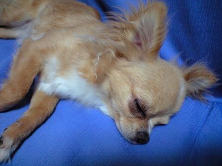 ���݂ʂ���������Ƃ��ʂ̂킳��