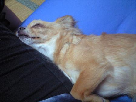 ���݂ʂ���������Ƃ��ʂ̂킳��