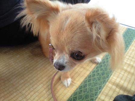 ���݂ʂ���������Ƃ��ʂ̂킳��