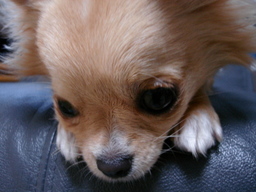 ���݂ʂ���������Ƃ��ʂ̂킳��