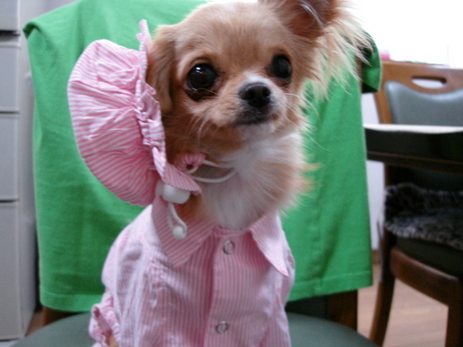 ���݂ʂ���������Ƃ��ʂ̂킳��