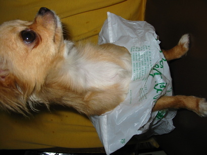 ���݂ʂ���������Ƃ��ʂ̂킳��