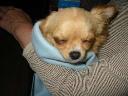 ���݂ʂ���������Ƃ��ʂ̂킳��