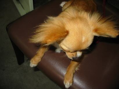 ���݂ʂ���������Ƃ��ʂ̂킳��