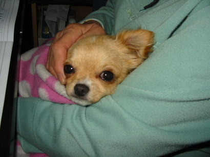 ���݂ʂ���������Ƃ��ʂ̂킳��