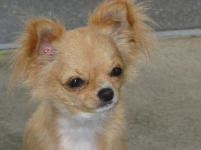 ���݂ʂ���������Ƃ��ʂ̂킳��