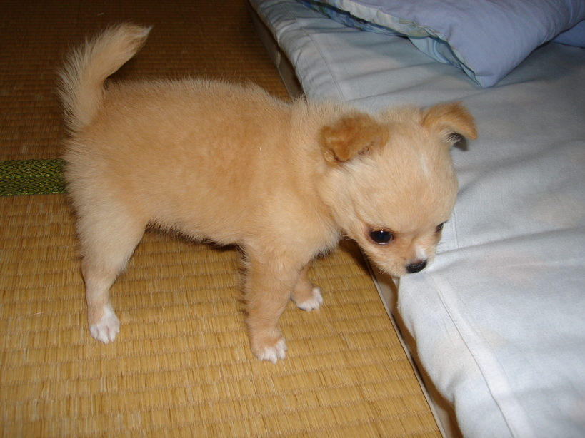 ���݂ʂ���������Ƃ��ʂ̂킳��