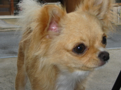 ���݂ʂ���������Ƃ��ʂ̂킳��