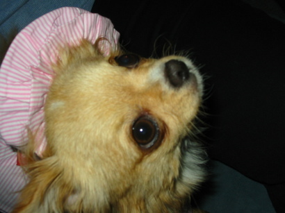 ���݂ʂ���������Ƃ��ʂ̂킳��