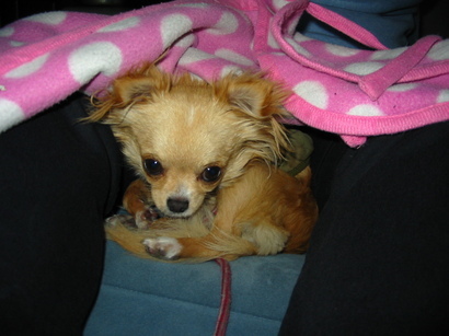 ���݂ʂ���������Ƃ��ʂ̂킳��