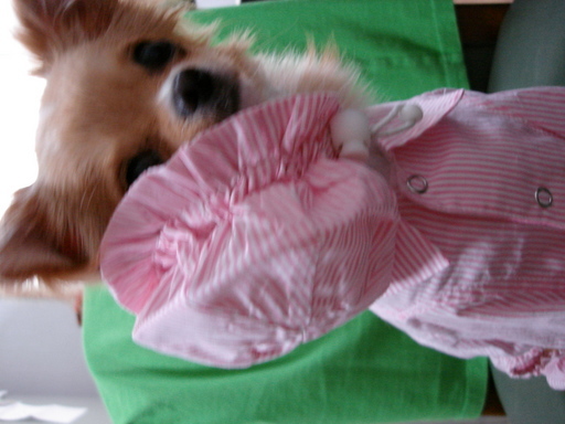 ���݂ʂ���������Ƃ��ʂ̂킳��