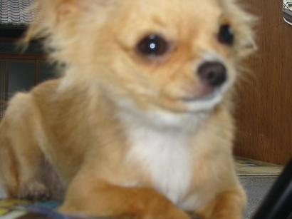 ���݂ʂ���������Ƃ��ʂ̂킳��