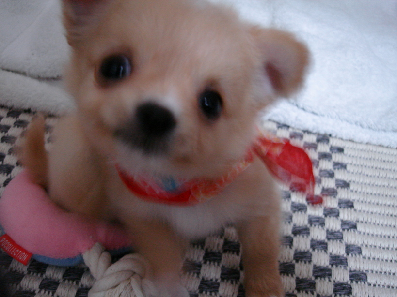 ���݂ʂ���������Ƃ��ʂ̂킳��